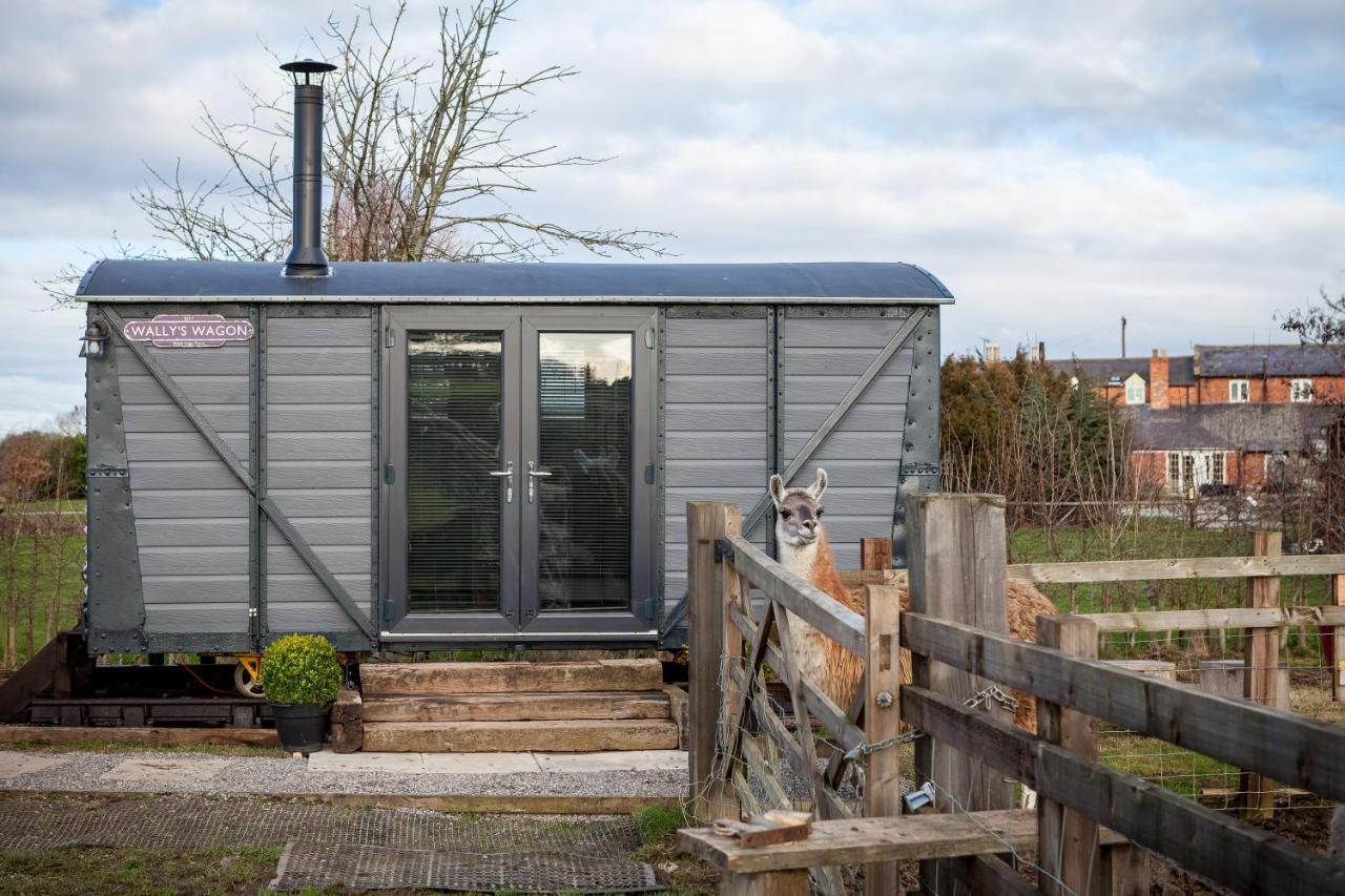 Villa Skipbridge Farm Glamping Green Hammerton Exterior foto